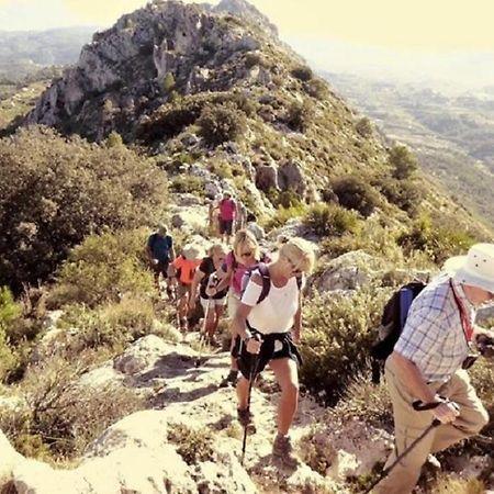 One Bed Apartment Overlooking Jalon Valley, Costa Blanca Alcalalí Екстериор снимка