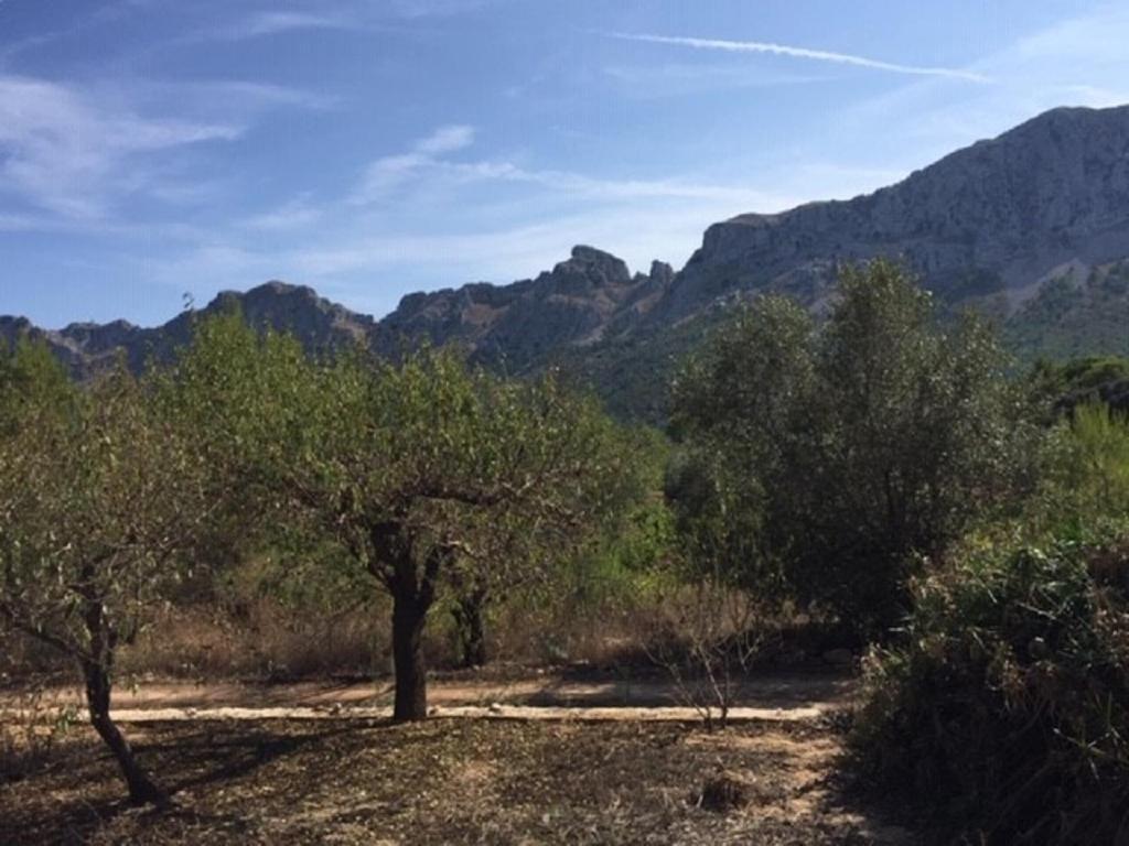 One Bed Apartment Overlooking Jalon Valley, Costa Blanca Alcalalí Екстериор снимка