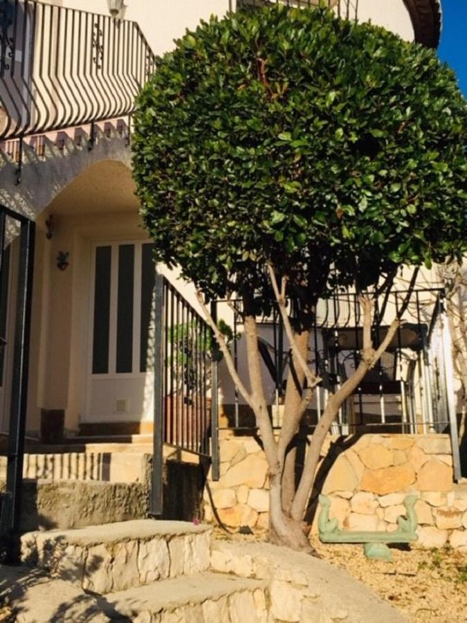 One Bed Apartment Overlooking Jalon Valley, Costa Blanca Alcalalí Екстериор снимка