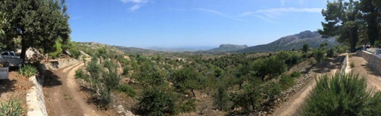 One Bed Apartment Overlooking Jalon Valley, Costa Blanca Alcalalí Екстериор снимка
